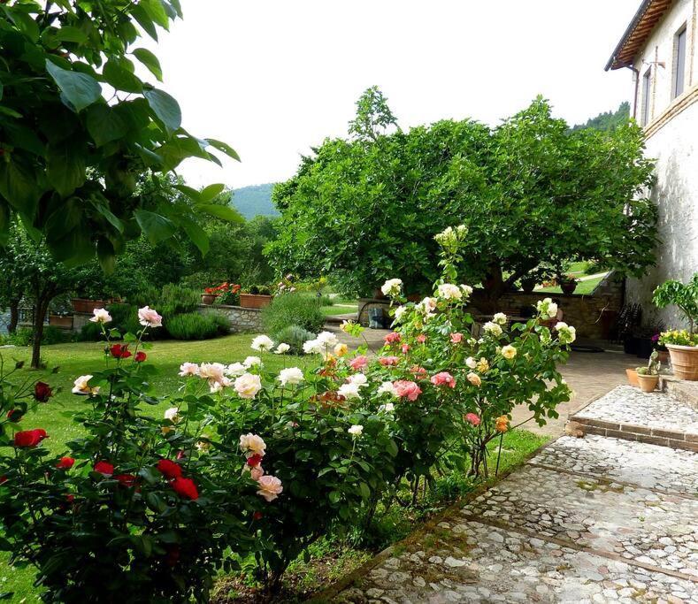 All Stone Horse Stable Converted To Elegant Apartment - Baltimora Spoleto Eksteriør billede